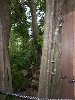 Citrus Creek Plantation