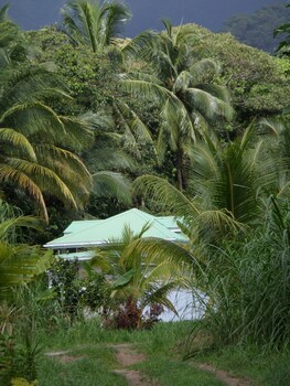 Citrus Creek Plantation