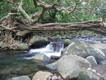 Citrus Creek Plantation
