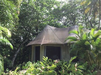 Citrus Creek Plantation