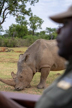 Sediba Luxury Safari Lodge