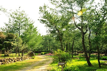 Zen And Pine Resort