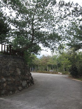 Zen And Pine Resort