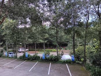 Zen And Pine Resort