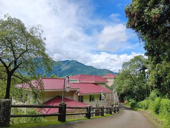 Zen And Pine Resort