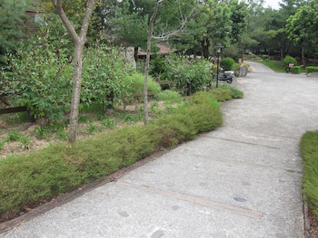 Zen And Pine Resort