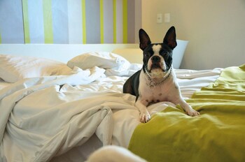 Dmax Hotel
