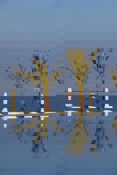 King Evelthon Beach Hotel & Resort