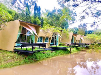 Aurora Resort