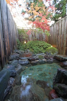 Hotel Natural Garden Nikko