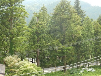 Nikko Station Hotel Classic
