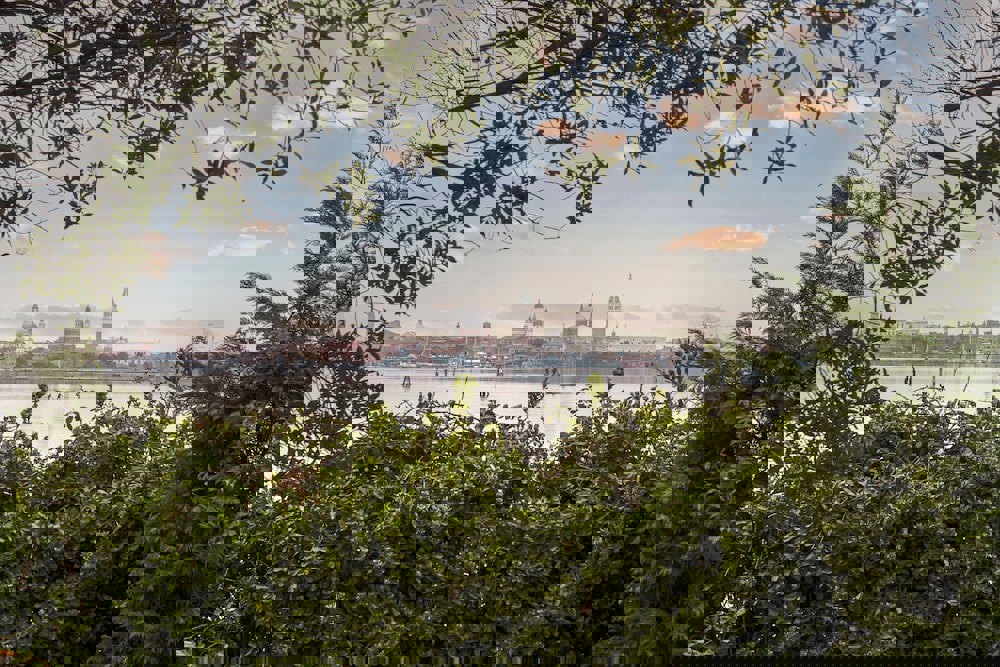 JW Marriott Venice Resort & Spa