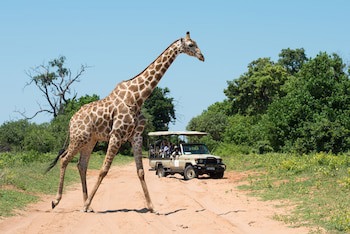 Chobe Water Villas