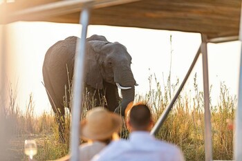 Chobe Water Villas