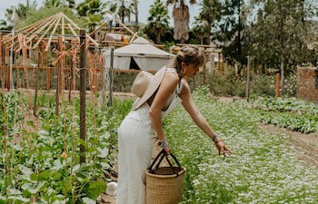 Hotel Boutique Valle De Guadalupe & Spa
