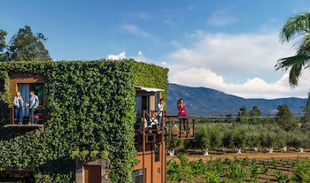 Hotel Boutique Valle De Guadalupe & Spa