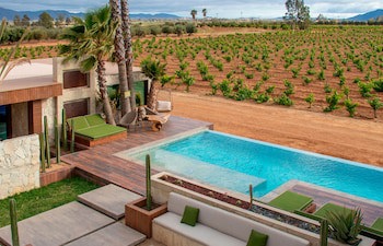 Hotel Boutique Valle De Guadalupe & Spa