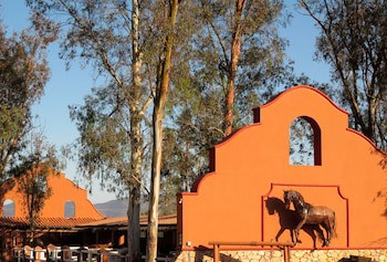 Hotel Boutique Valle De Guadalupe & Spa