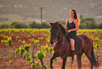 Hotel Boutique Valle De Guadalupe & Spa
