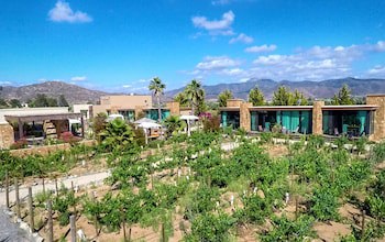 Hotel Boutique Valle De Guadalupe & Spa