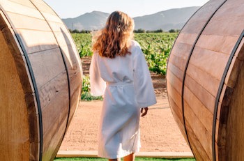 Hotel Boutique Valle De Guadalupe & Spa