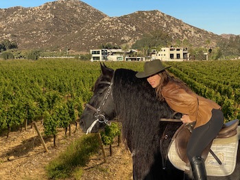 Hotel Boutique Valle De Guadalupe & Spa