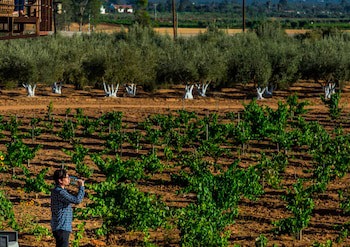 Hotel Boutique Valle De Guadalupe & Spa