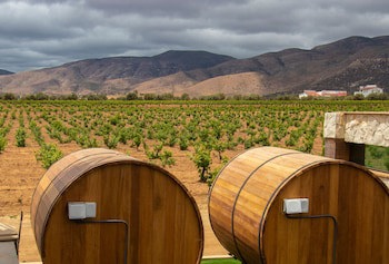 Hotel Boutique Valle De Guadalupe & Spa