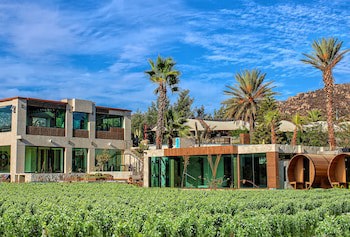 Hotel Boutique Valle De Guadalupe & Spa