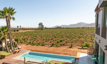Hotel Boutique Valle De Guadalupe & Spa