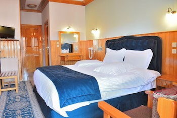 Asteri Metsovo