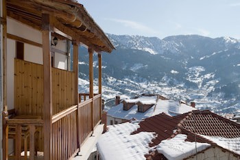 Asteri Metsovo