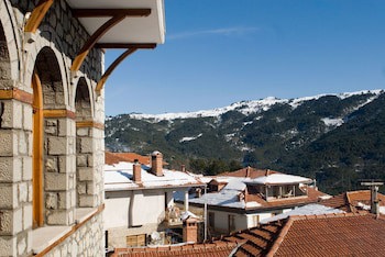 Asteri Metsovo