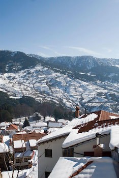 Asteri Metsovo