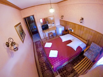 Asteri Metsovo