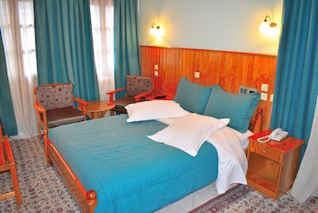 Asteri Metsovo