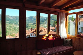 Asteri Metsovo