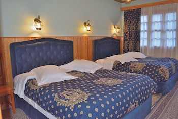 Asteri Metsovo