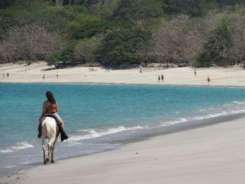 Casas Del Toro Playa Flamingo
