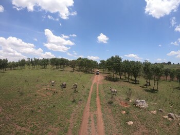 Game Haven Lodge