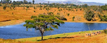 Game Haven Lodge