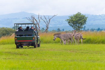 Game Haven Lodge