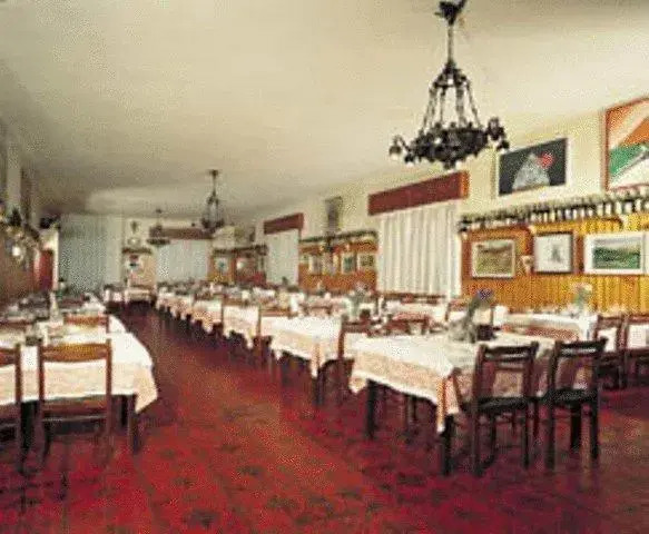 Hotel Musolesi galeri fotoğrafı
