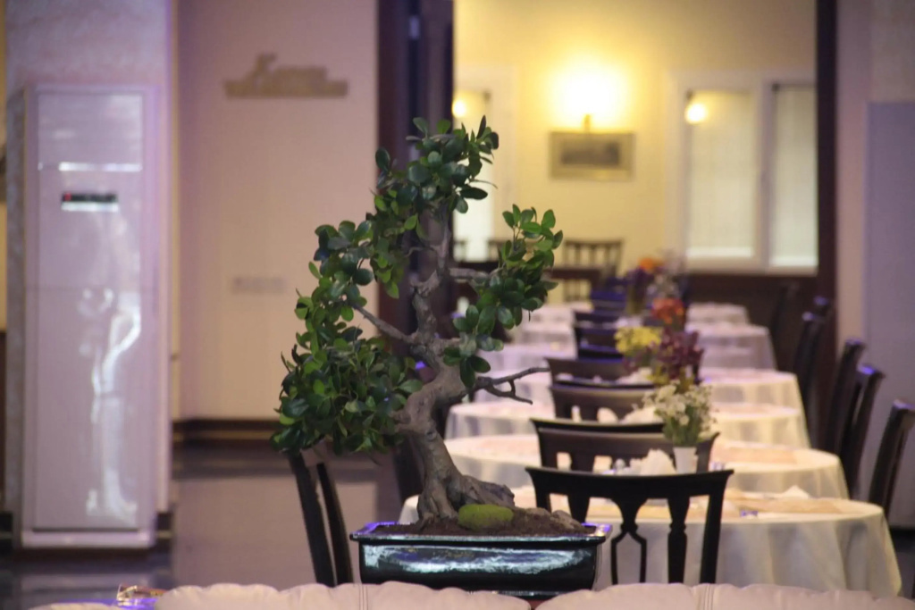 Susuzlu Seckin Hotel galeri fotoğrafı