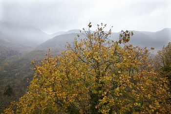 Levanta galeri fotoğrafı