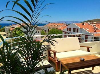 Terrace or Patio