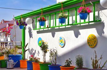 Terrace or Patio