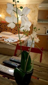 Valeria Deluxe Hotel Sultanahmet