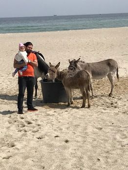 Safir Sunny Beach Hotel galeri fotoğrafı