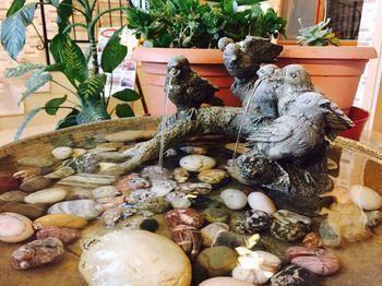 Antandros Narli Konak